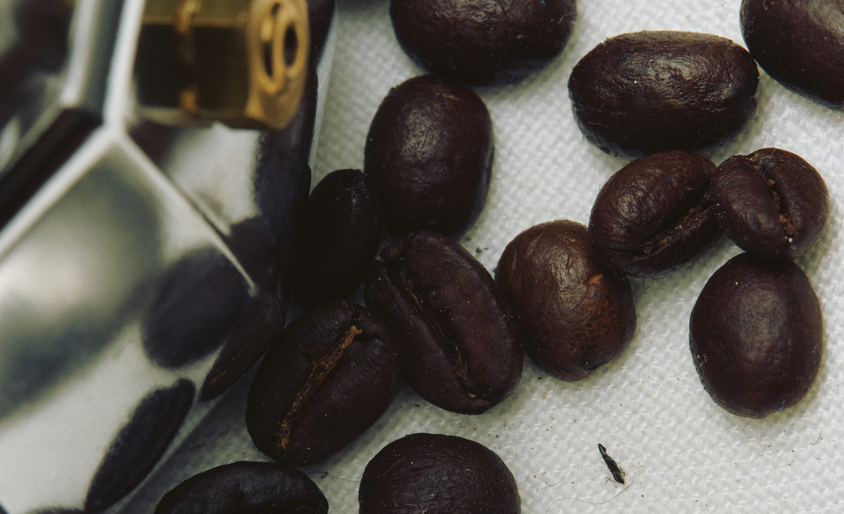 Geisha Coffee