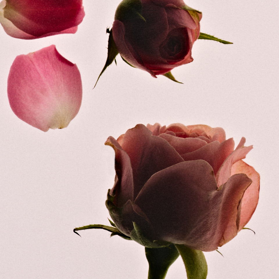 Rose Cake Eau De Parfum