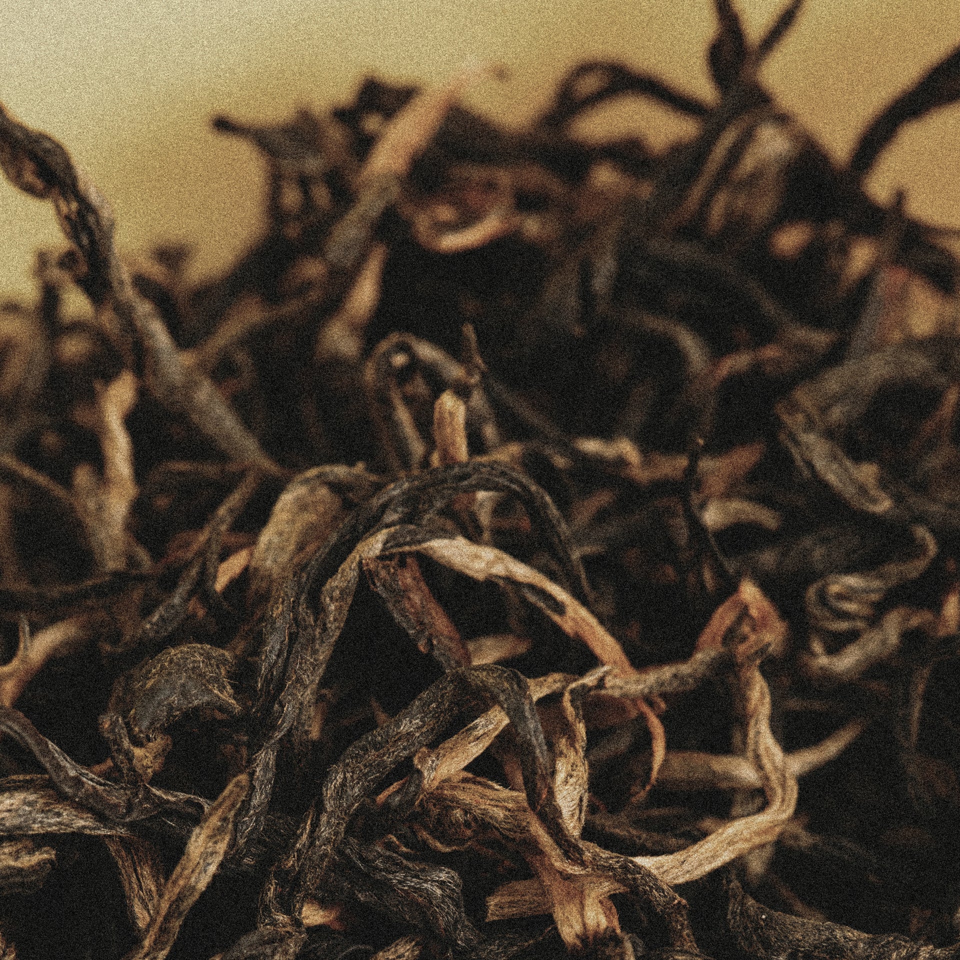 Dark Tea Hand Cream