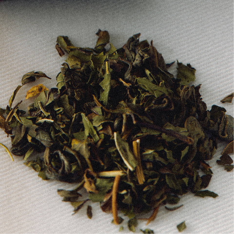 Dark Tea Hand & Body Wash